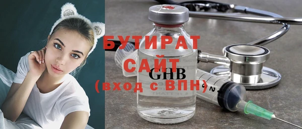 индика Бородино