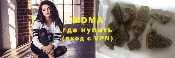 индика Бородино