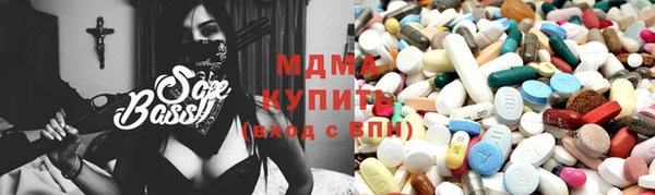 индика Бородино