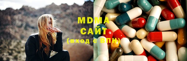 индика Бородино