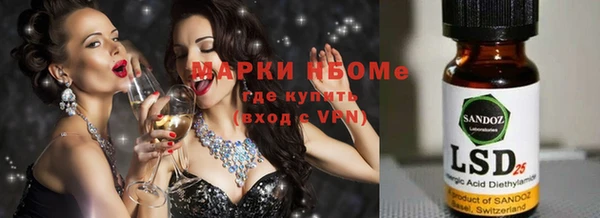 индика Бородино