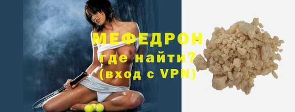 индика Бородино