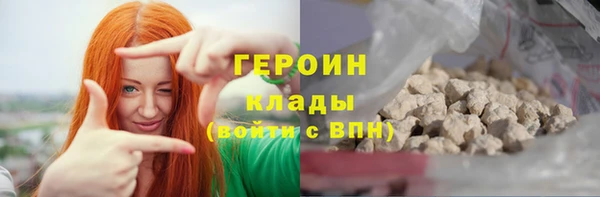 индика Бородино
