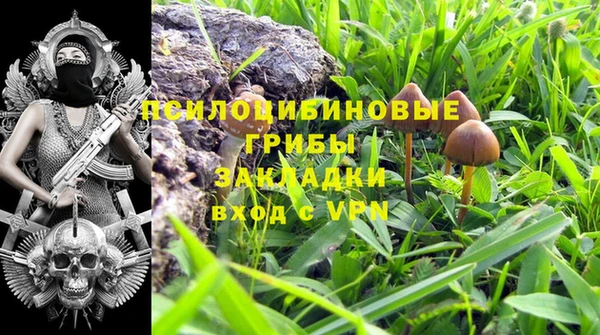 крисы Верхний Тагил