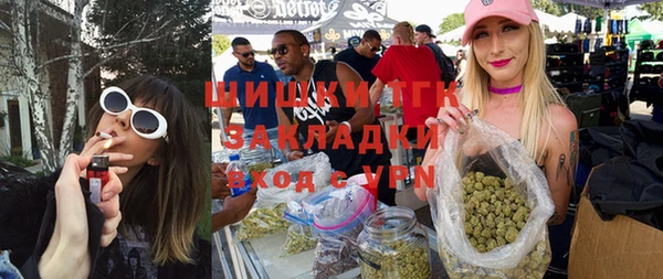индика Бородино