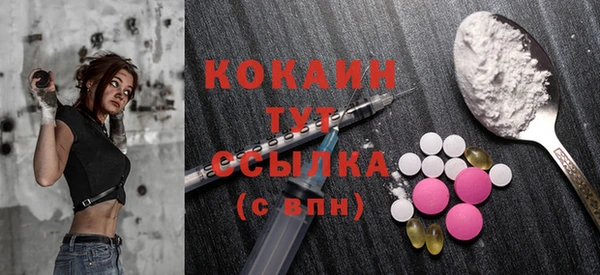 индика Бородино