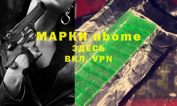 индика Бородино