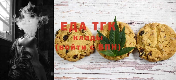индика Бородино