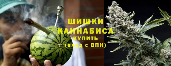индика Бородино